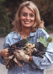 Cyn-Grapes