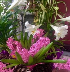 flowers flowers