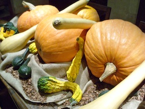 pumpkins-gourds 2